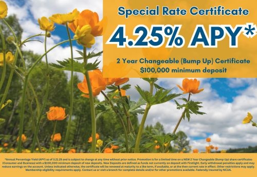4.25% APY SPECIAL 2 YEAR (BUMP UP) SHARE CERTIFICATE